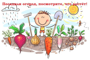 Объявляем старт конкурса «Посадили огород, посмотрите, что растёт!» Объявляем старт конкурса «Посадили огород, посмотрите, что растёт!».